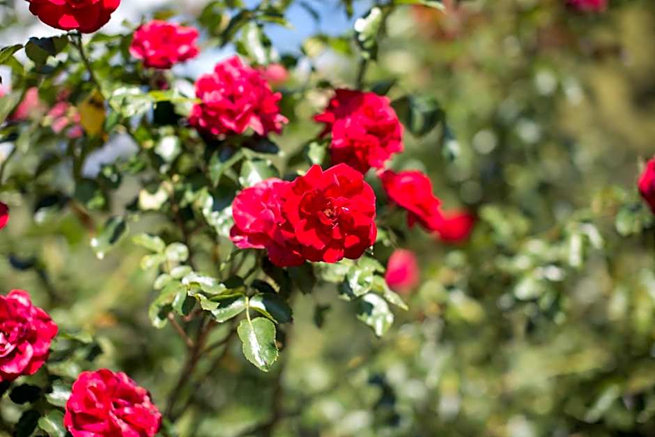 Tannerhof Bed & Breakfast