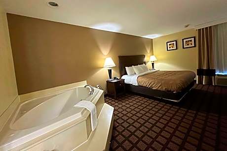 1 King Bed, Nonsmoking