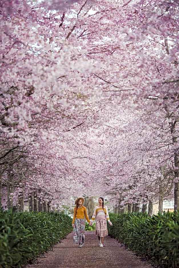 English Cherry Tree Manor