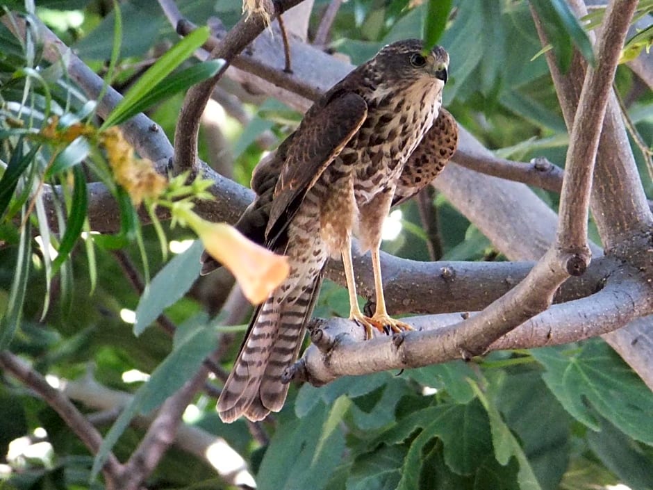 Kathys Place Bed and Breakfast