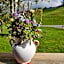 Berghotel Jägerhof ****S
