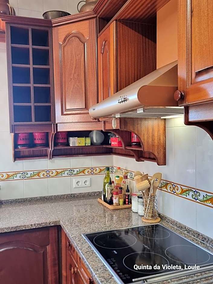 Villa Quinta da Violeta