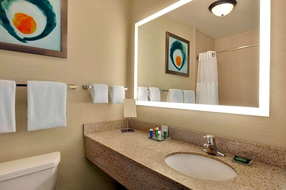 Photo 1 of 4 of 1 Bedroom 1 King Bed Suite, Whirlpool