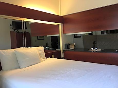 1 Queen Bed Deluxe Suite Non-Smoking