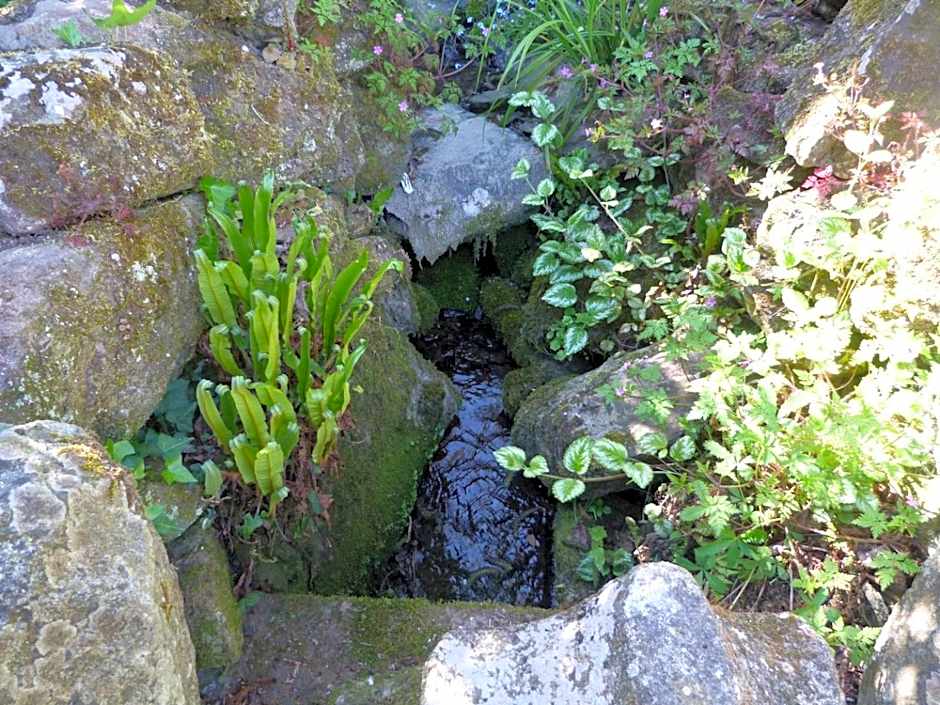 Chambres d'hôtes Logis Du Jerzual