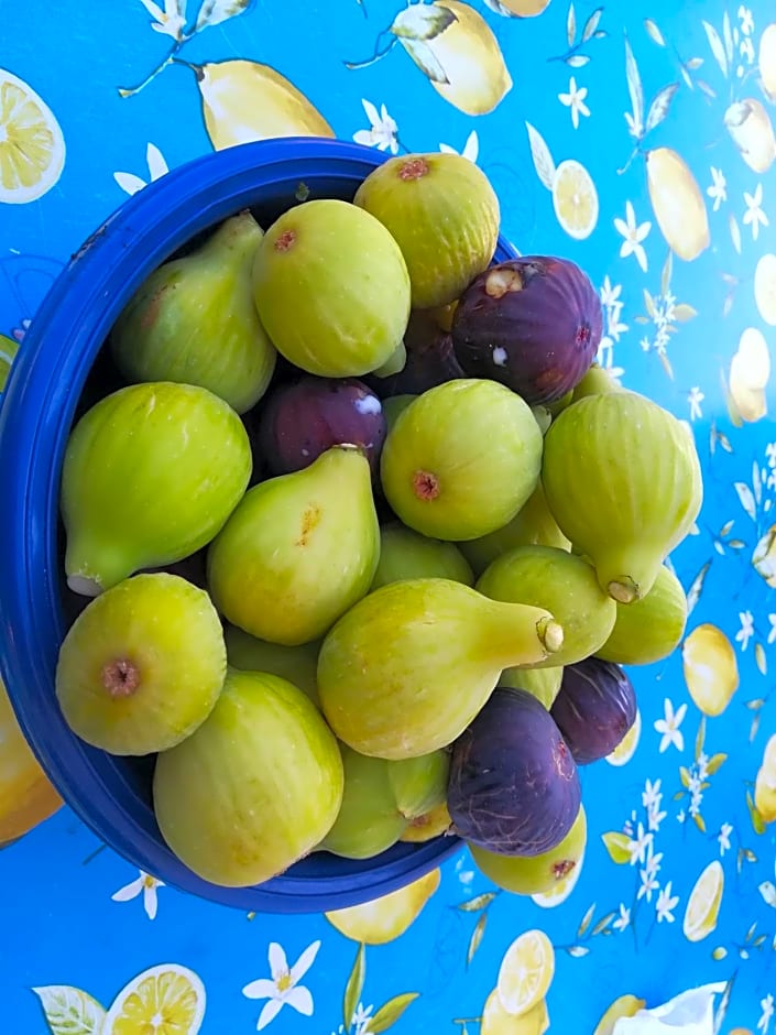 Stanza B&B Posto Rosso