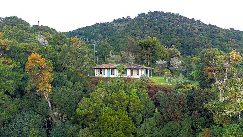 Dantica Cloud Forest Lodge