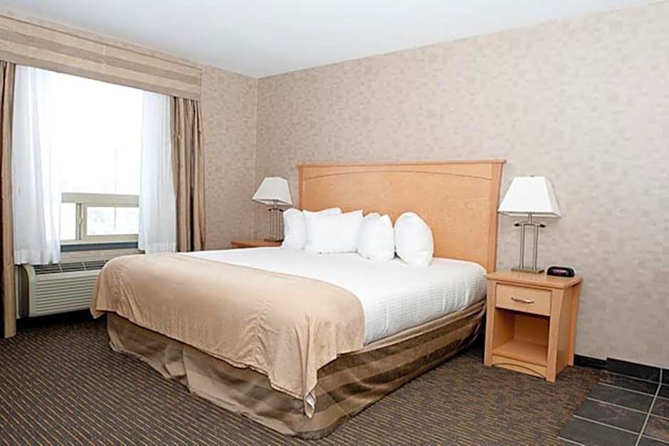 Paradise Inn and Suites