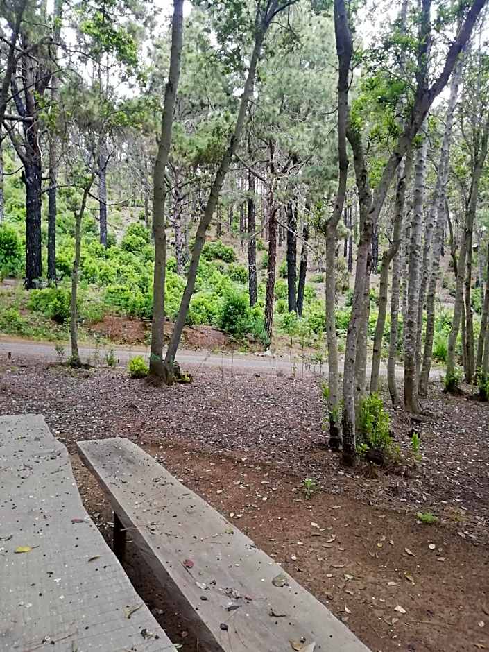 Casa ecologica, autosuficiente en Lomo Blanco, dentro de una casa rodeada de naturaleza