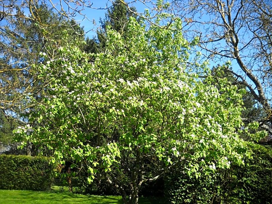 RELAIS DES VIGNOTTES