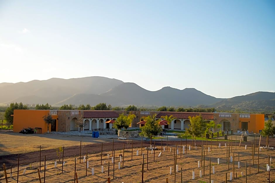 Hacienda Los Olivos, Valle de Guadalupe