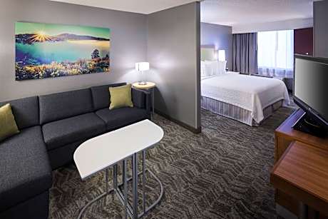 King Suite with Roll-In Shower and Sofa Bed - Mobility Access/Hearing Accessible