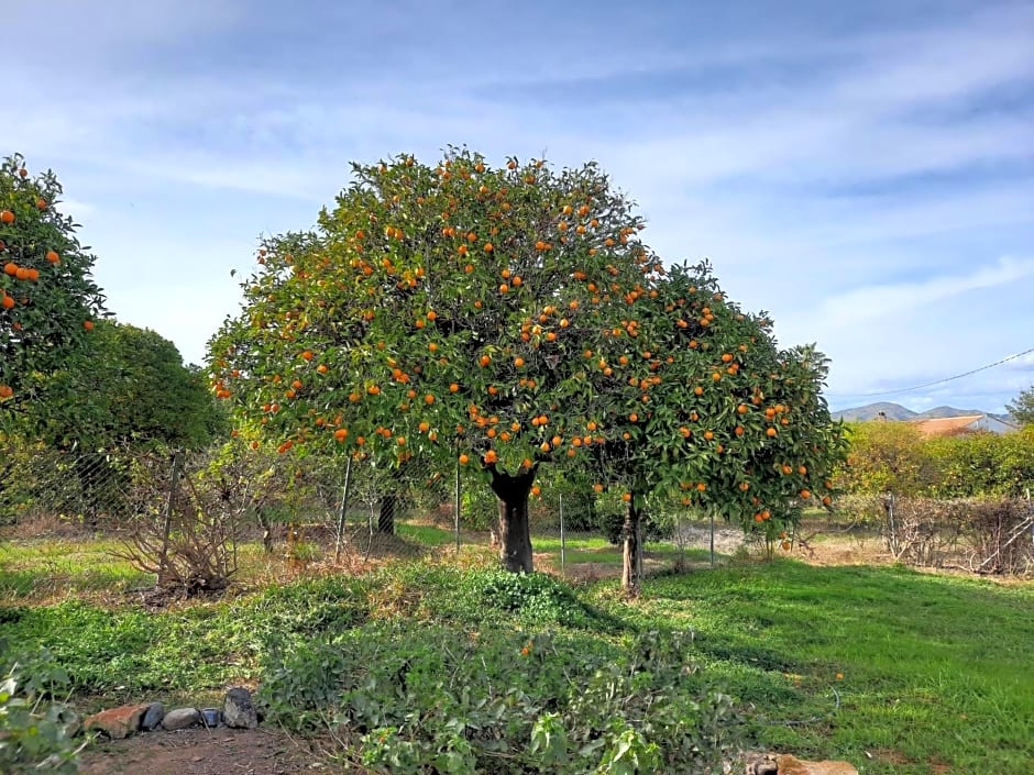 Finca Sueño de Vida