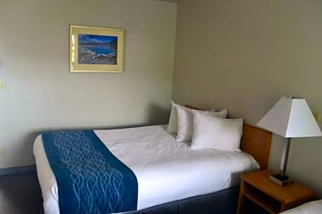 Queen Suite