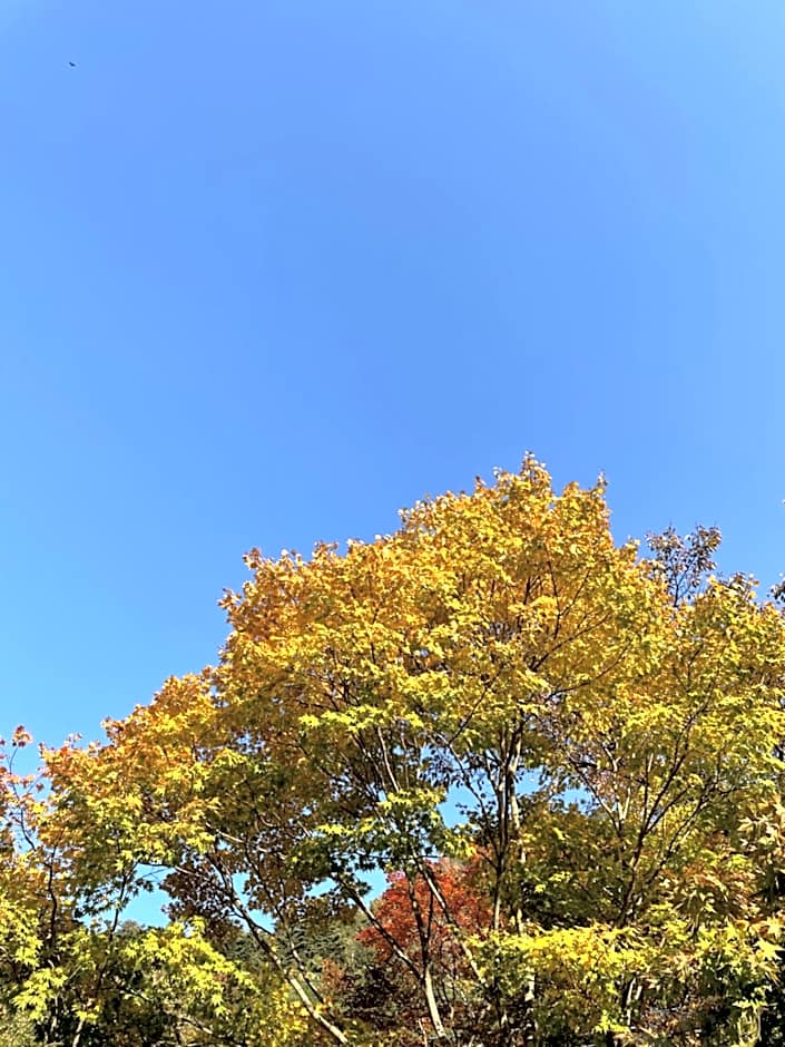 Onsen Glamping ShimaBlue