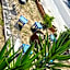 Sun Hotel