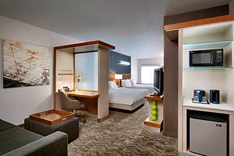 Queen Studio with Sofa Bed and Roll-in Shower - Mobility and Hearing Accessible