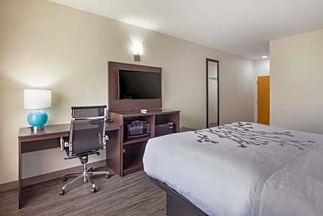 1 King Bed, Nonsmoking, Accessible