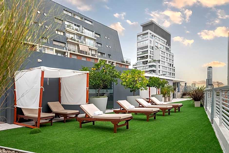 Dazzler by Wyndham Polo