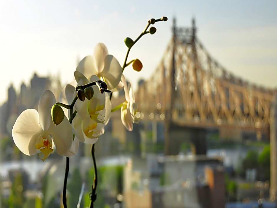 Z NYC Hotel