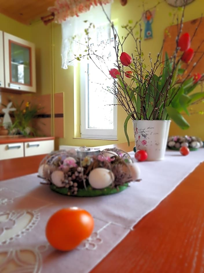 Domki i Apartamenty Rogate Anioły