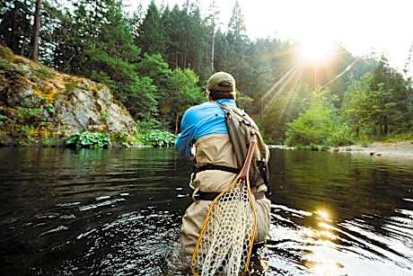 Holiday Inn Express Yreka-Shasta Area By IHG