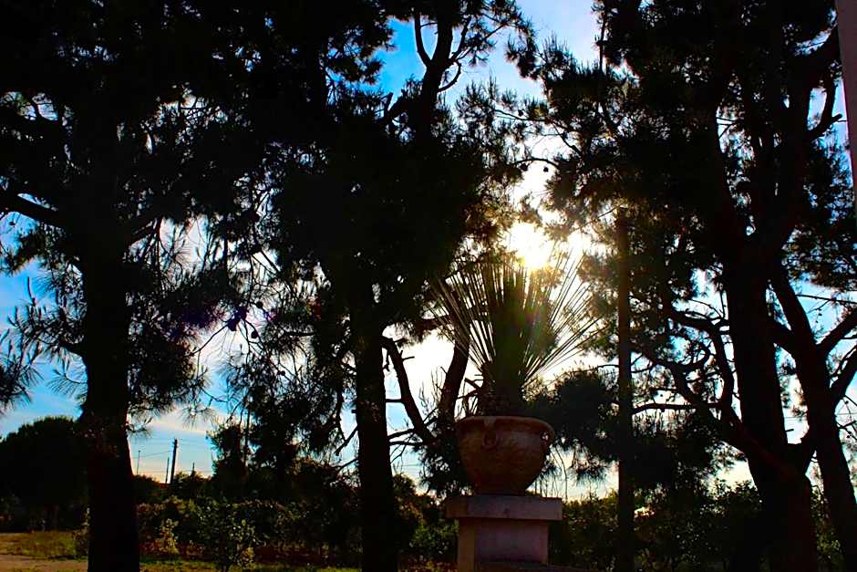 Gli Allori - Fuga dalla città