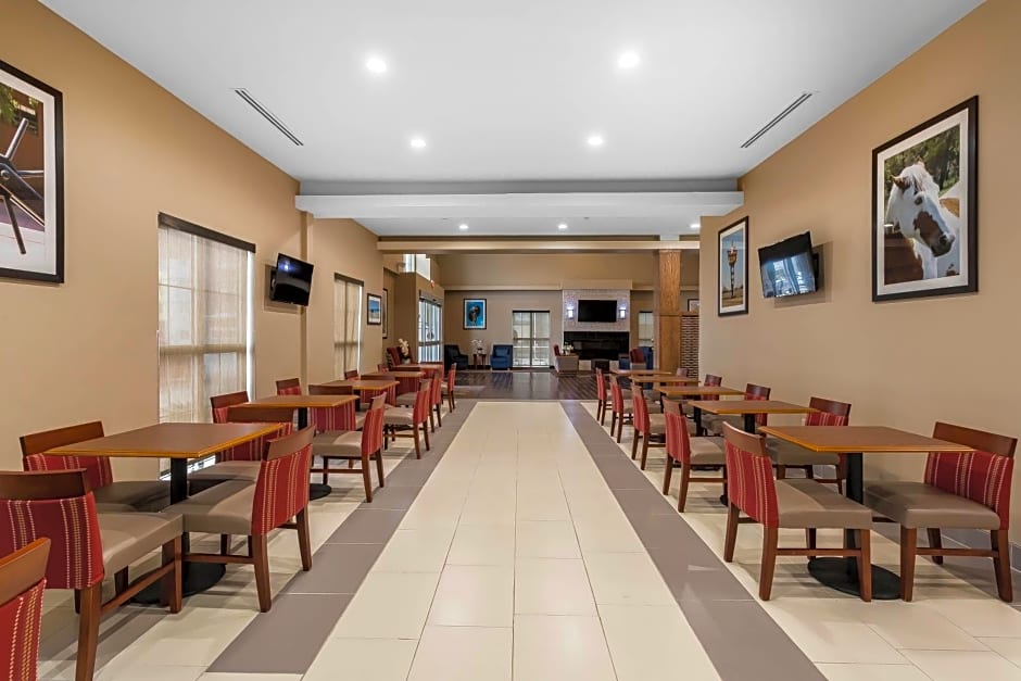 Comfort Suites University