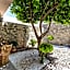 ClickSardinia Alghero Spectacular waterfront Neptune apartment with sea-facing terraces and garden