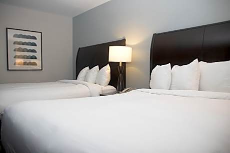 Luxury Room 2 Queens Non- Smoking Newly Renovated