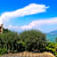Hotel Grifone