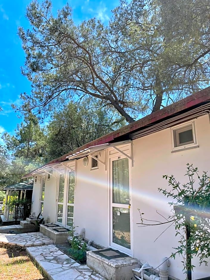 Olympos Angels Garden