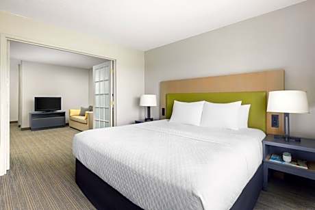 1 King Bed, Suite, Nonsmoking