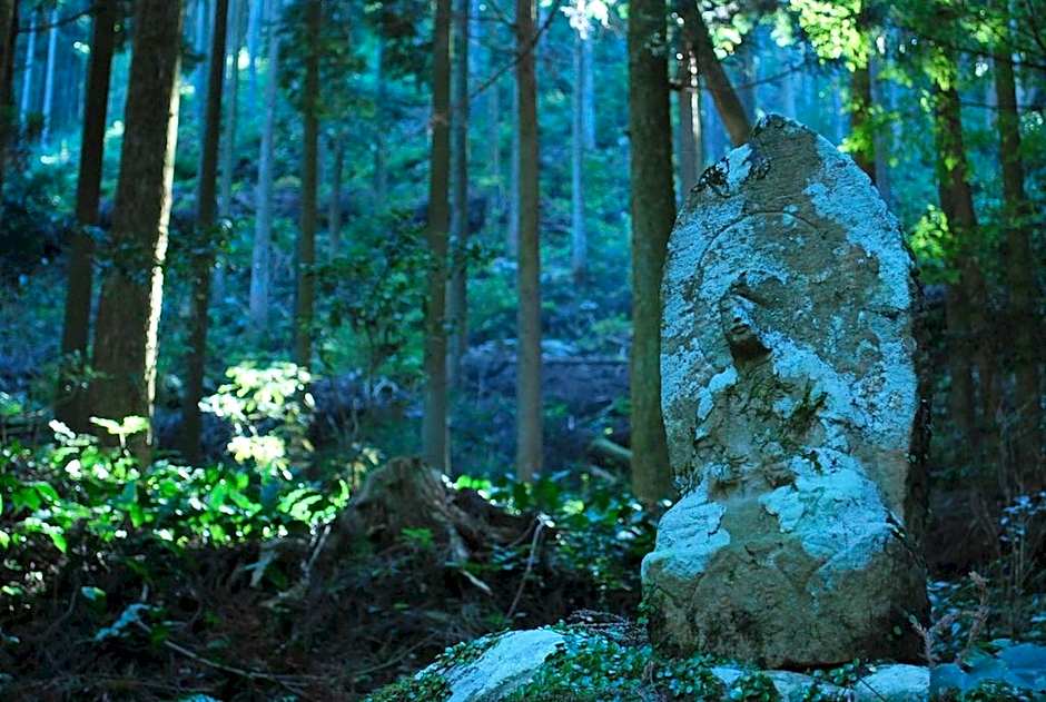 Akizuki Spa Ryokan Seiryuan