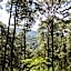 Monteverde