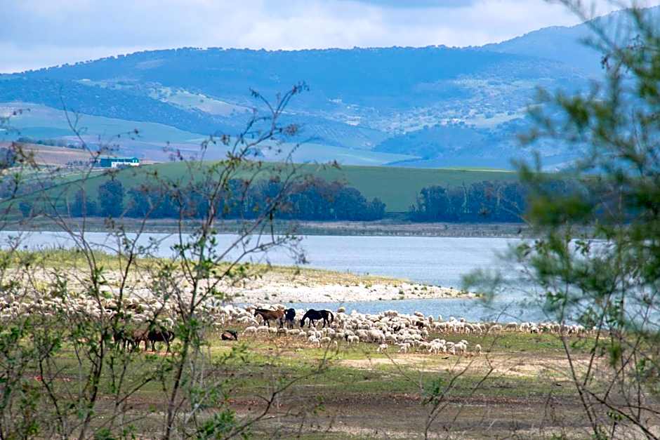 Hacienda la Divertida