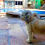 Quality Inn Mazatlan