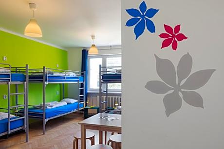 Bed in 6-Bed Dormitory Room