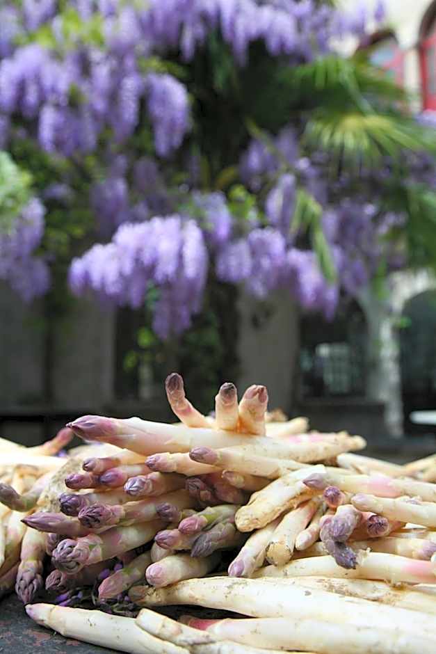 Albergo Ristorante Madonnina