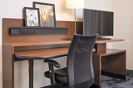 Executive Suite, 1 King, Sofa bed (Mobility &amp; Hearing Accessible w/ Tub)