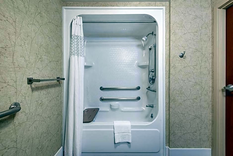 Hampton Inn Roanoke/Hollins - I-81