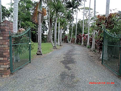 Emerald Tropical Palms B & B