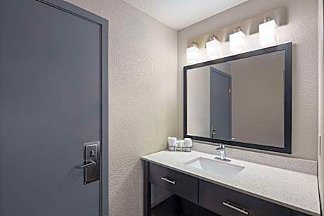 1 King Bed Deluxe Suite Non-Smoking