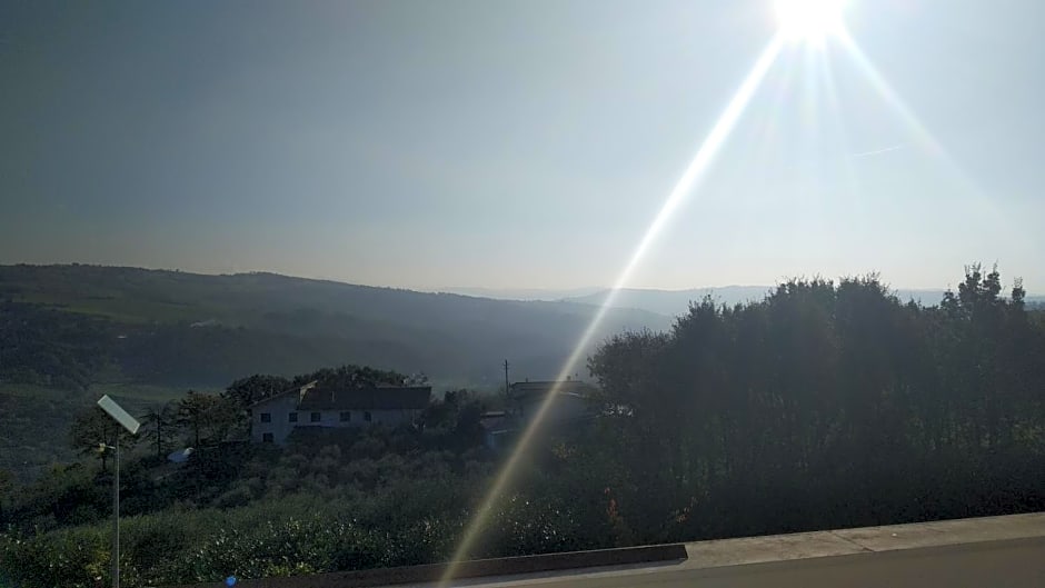 La Magnolia sul Lago