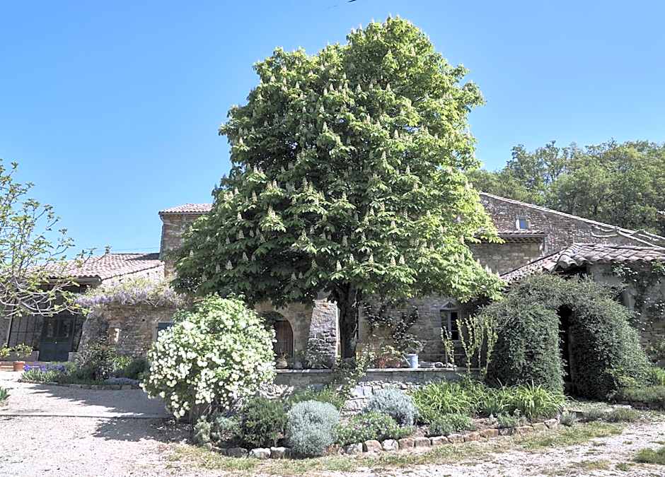 La Cour du Marronnier