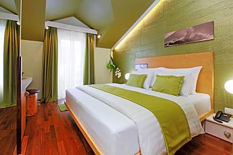 Double Room with Pool View