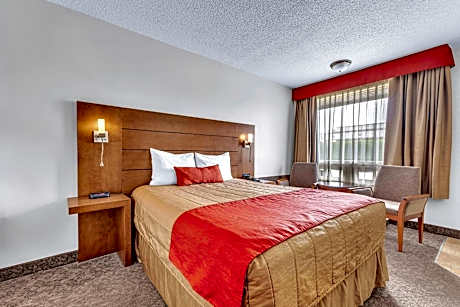 Superior Queen Room