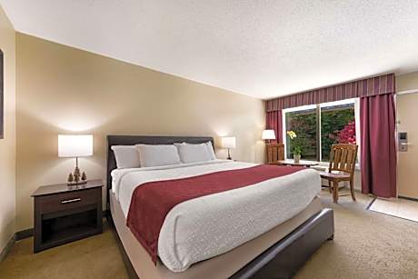 King Suite with Roll-In Shower and Sofabed - Mobility Accessible/Non-Smoking