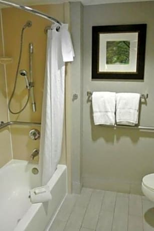 Double Room with Two Double Beds and Bath Tub - Disability Access