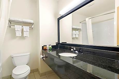 1 KING BED,NSMK,HISPD,MICRFG,COFMKR,IRN,HAIR,CONTINENTAL BREAKFAST